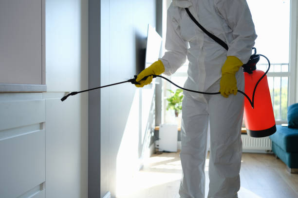 Best Office Mold Removal Services  in New Concord, OH