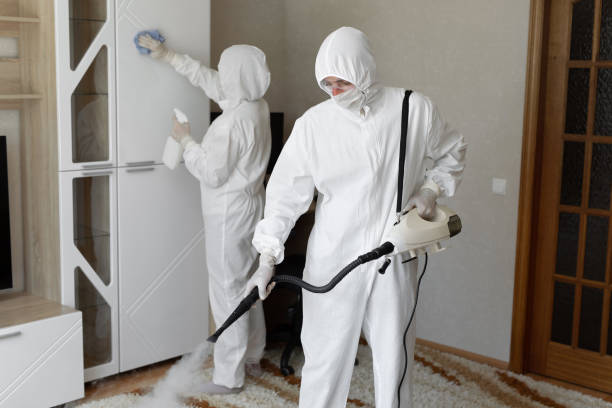 Best Home Mold Removal  in New Concord, OH