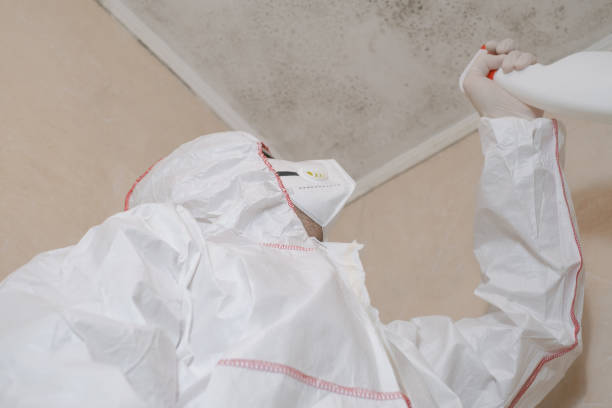 Best Office Mold Removal Services  in New Concord, OH